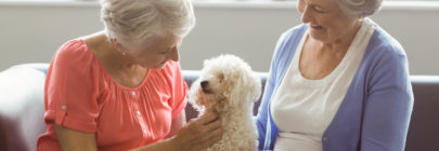 Dog with 2 women in nursing home