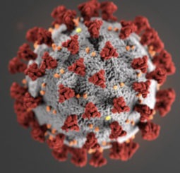 COVID-19 coronavirus