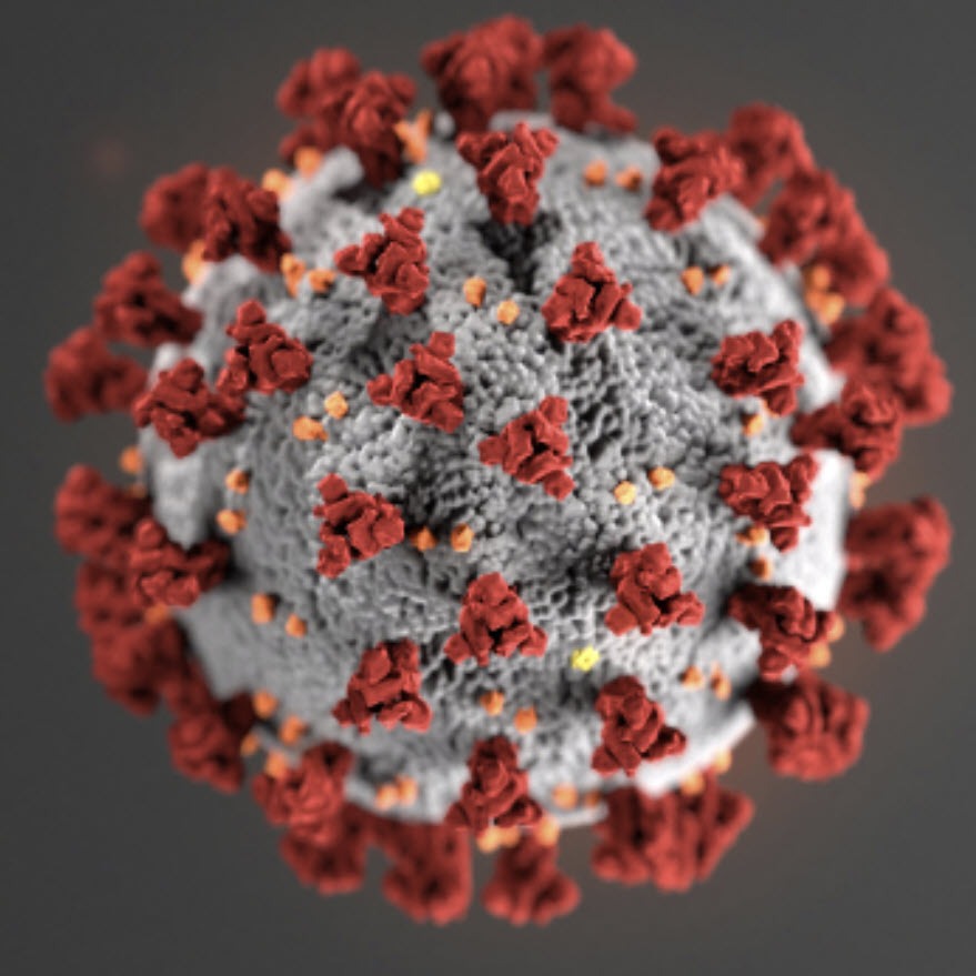 COVID-19 coronavirus